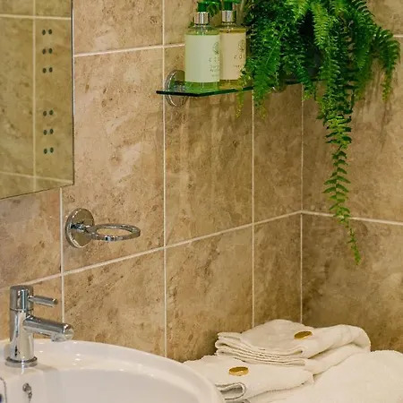 게스트하우스 The Maynard