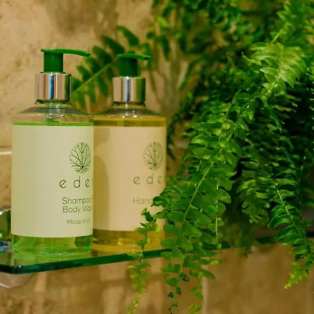 The Maynard 3* סקארבורו